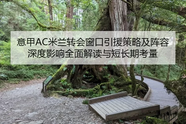 意甲AC米兰转会窗口引援策略及阵容深度影响全面解读与短长期考量